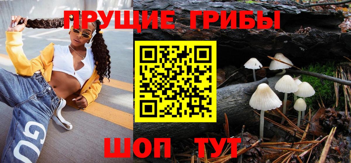 Псилоцибиновые грибы Cubensis  Псилоцибиновые грибы Cubensis  Домодедово  как найти закладки  Вход с VPN 