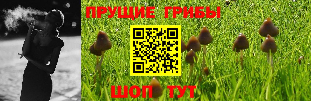 Псилоцибиновые грибы мухоморы Домодедово